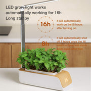 Smart Multi-Function Growing Led Lamp For Flower Vegetable Fruit Plant Growth