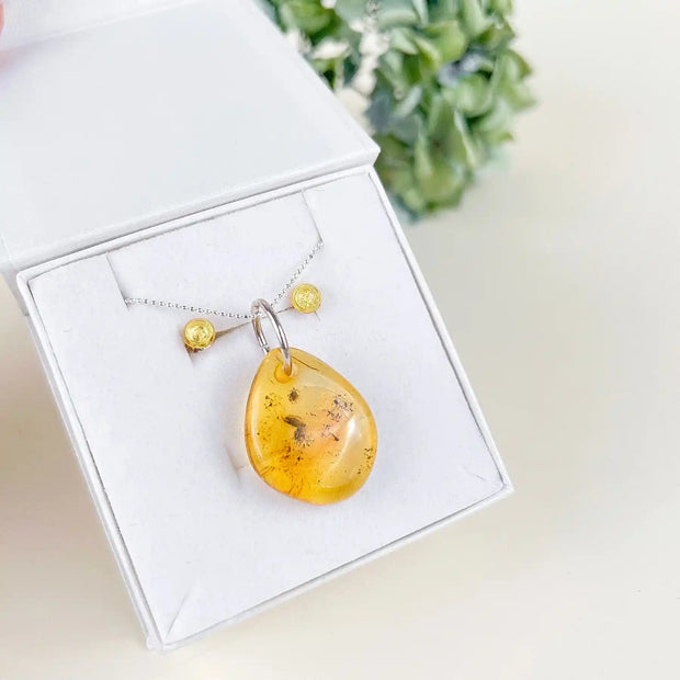 Transparent Amber Set Sterling Silver 925 Sviesulys